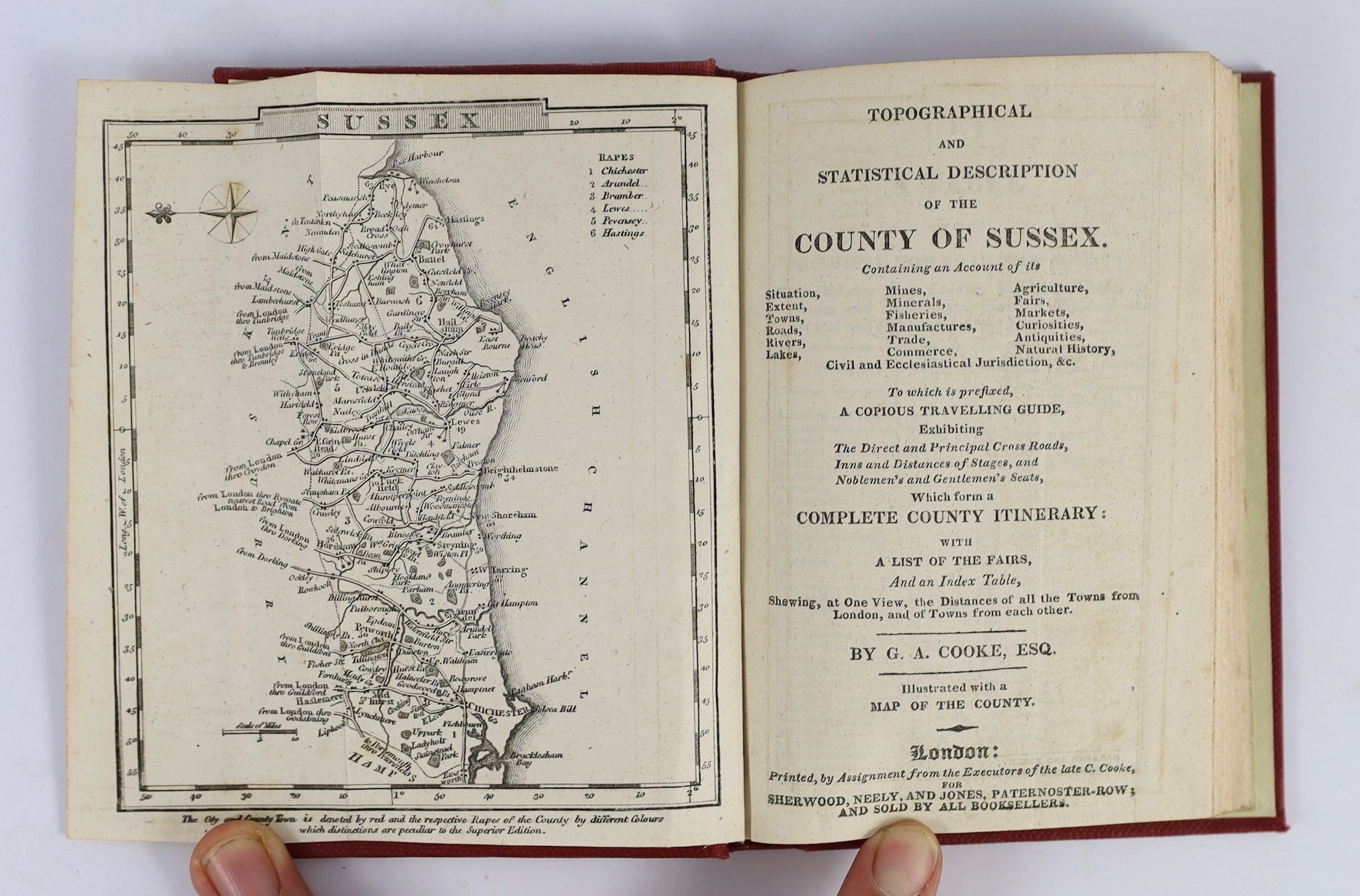 SUSSEX: Excursions in the County of Sussex ... forming a complete guide for the traveller and tourist ... pictorial engraved and printed titles, num. plates and a plan; old half calf and marbled boards (spine defective),